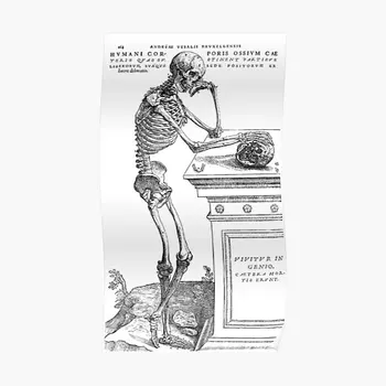 Анатомия скелета, Плакат Везалия 16 века, Домашняя Винтажная комната, Забавное Современное искусство, Настенное украшение, Настенная роспись, декор без рамки