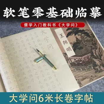 Большой объем знаний Университета Ван Янмин скопируй мелким шрифтом каллиграфию кистью
